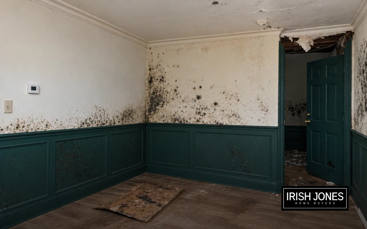 A room with mold on the walls and a damaged ceiling